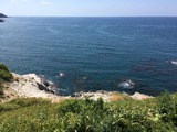 IMG_5752