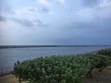 IMG_5791