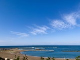 IMG_7950