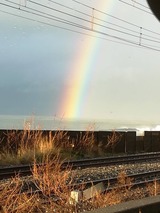 IMG_0079