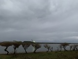 IMG_7901
