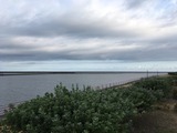 IMG_5743