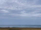 IMG_8367