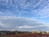 IMG_4435