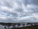 IMG_4441