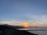 IMG_8295