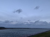 IMG_8385