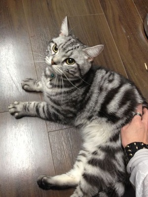 休憩チン太