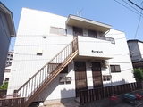 RICOH 082