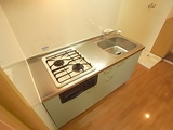 RICOH 011