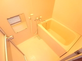RICOH 063
