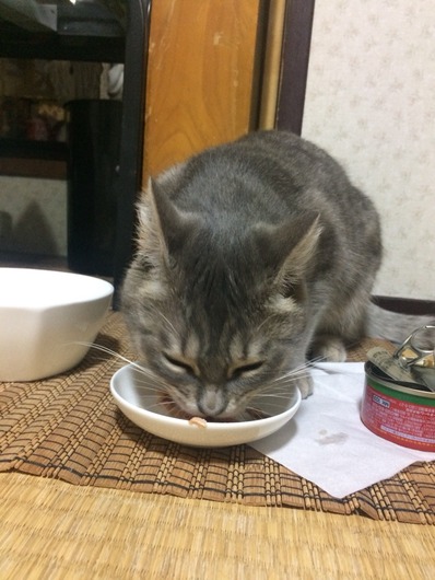 2017-06-24-19-41-19
