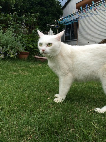 2016-08-17-15-20-38