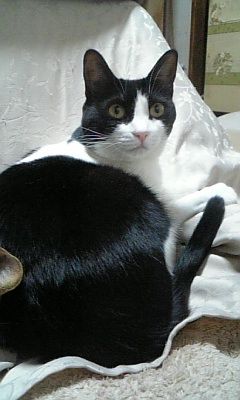 7a8d5e55.jpg