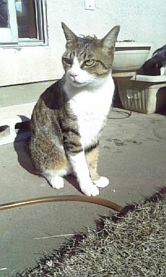 f5773885.jpg