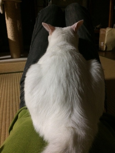 2017-09-12-20-13-18