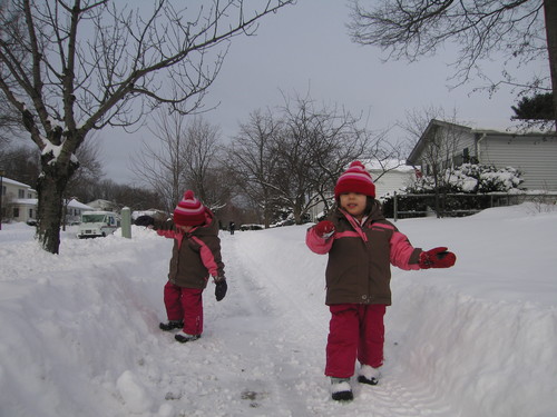 snowstormJan2010_2