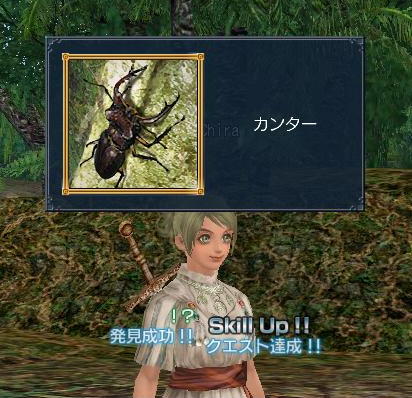 くわがた