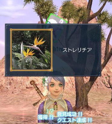お花