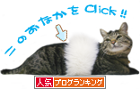  [ �͵�Blog Ranking ] 