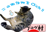  [ �֥�����󥭥󥰡��ˤۤ�֥���¼�� ] 