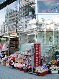 フラワー材料 マルケーコバヤシ