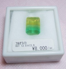 2009東京国際ミネラルフェア-2色フローライト
