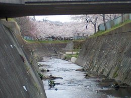 CA380154001