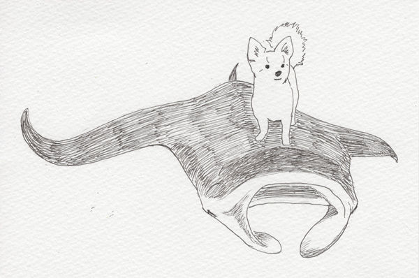 うたかただから 六十四 まろん草紙