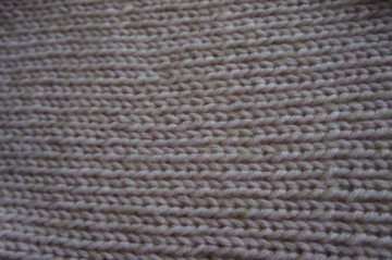 DSC00526s