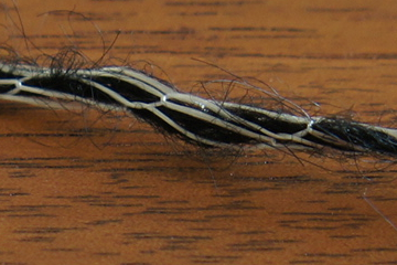 DSC00545s