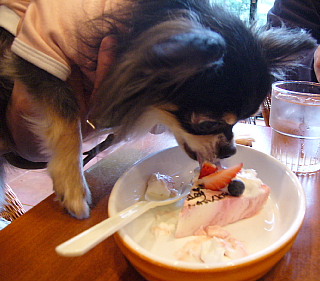 ケーキタン