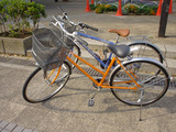 a00b96e5.JPG