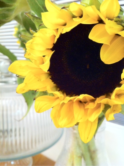 photo:01