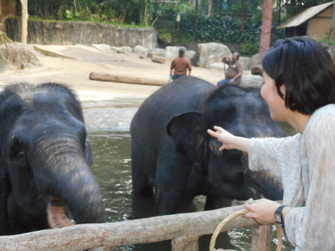 DSCN0751