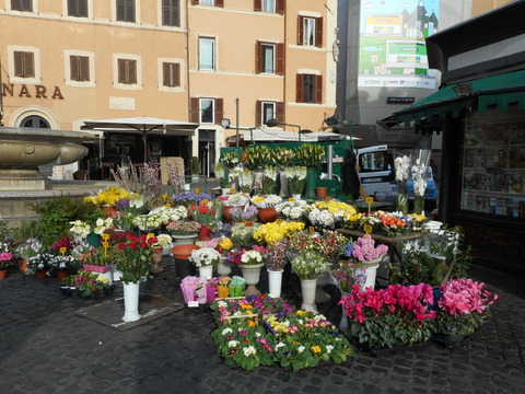 DSCN0279