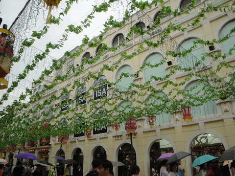 DSC03253