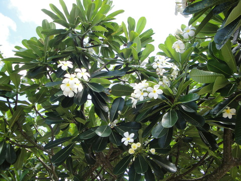 DSC01900