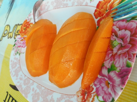 DSCN1055