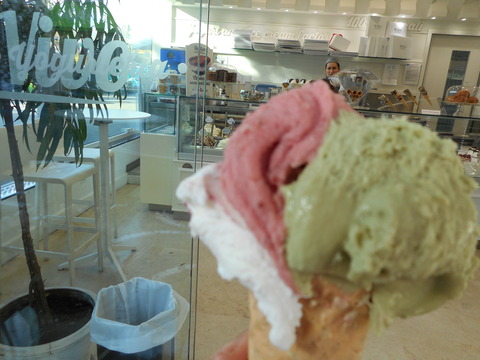 DSCN0606