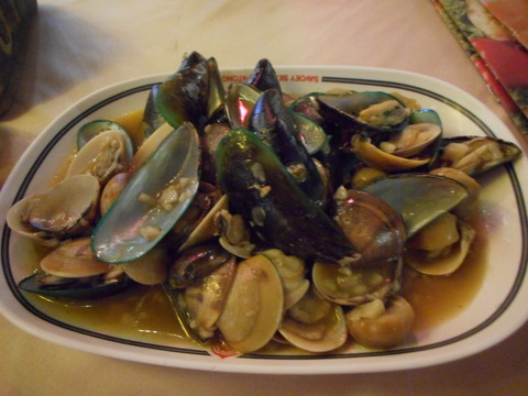 DSCN1095