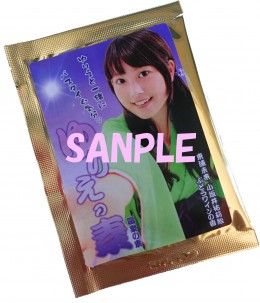 IMG_2775-260x303