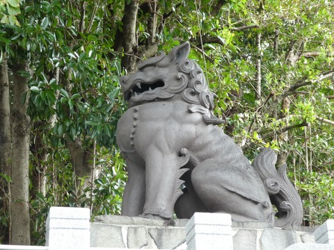 P1000299