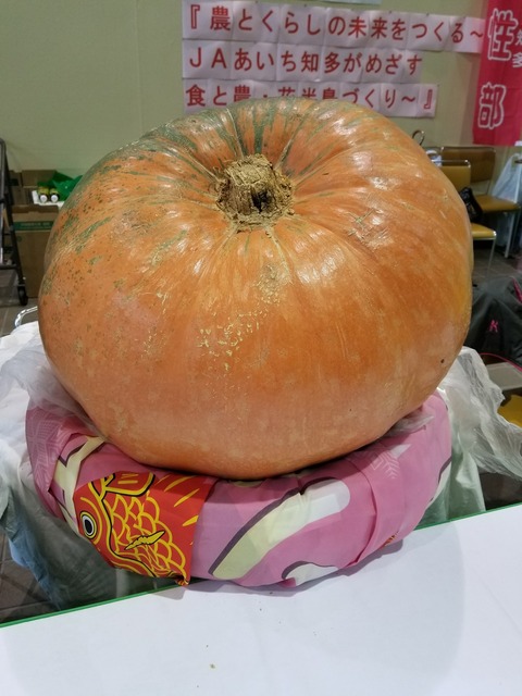 20171029_120609