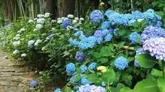 出塩