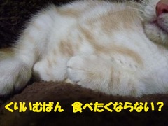 クリームパン