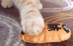猫に小判