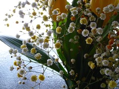 かすみ草
