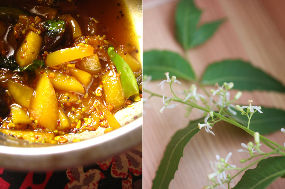 tamilnewyear10
