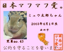マフマフ党